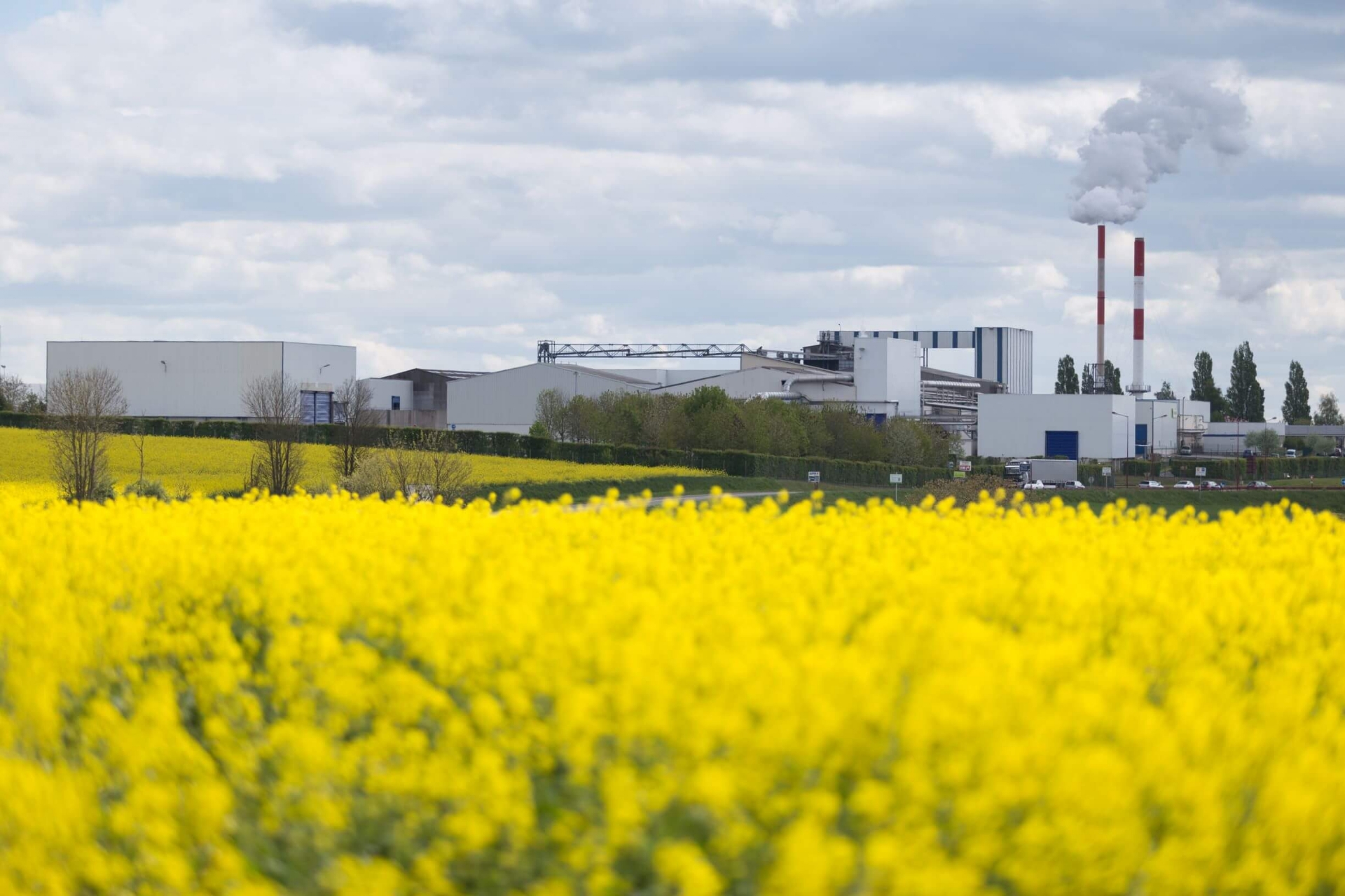 CODRA: la suite Panorama a servizio dell'industria agroalimentare